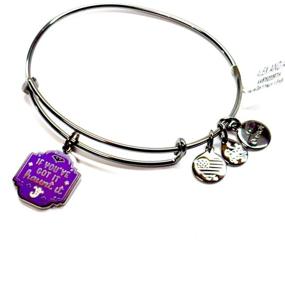 Alex and Ani Silver Bracelet with Purple Charm You’ve Got It - Picture 1 of 2